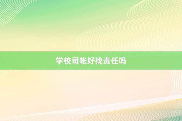 学校司帐好找责任吗